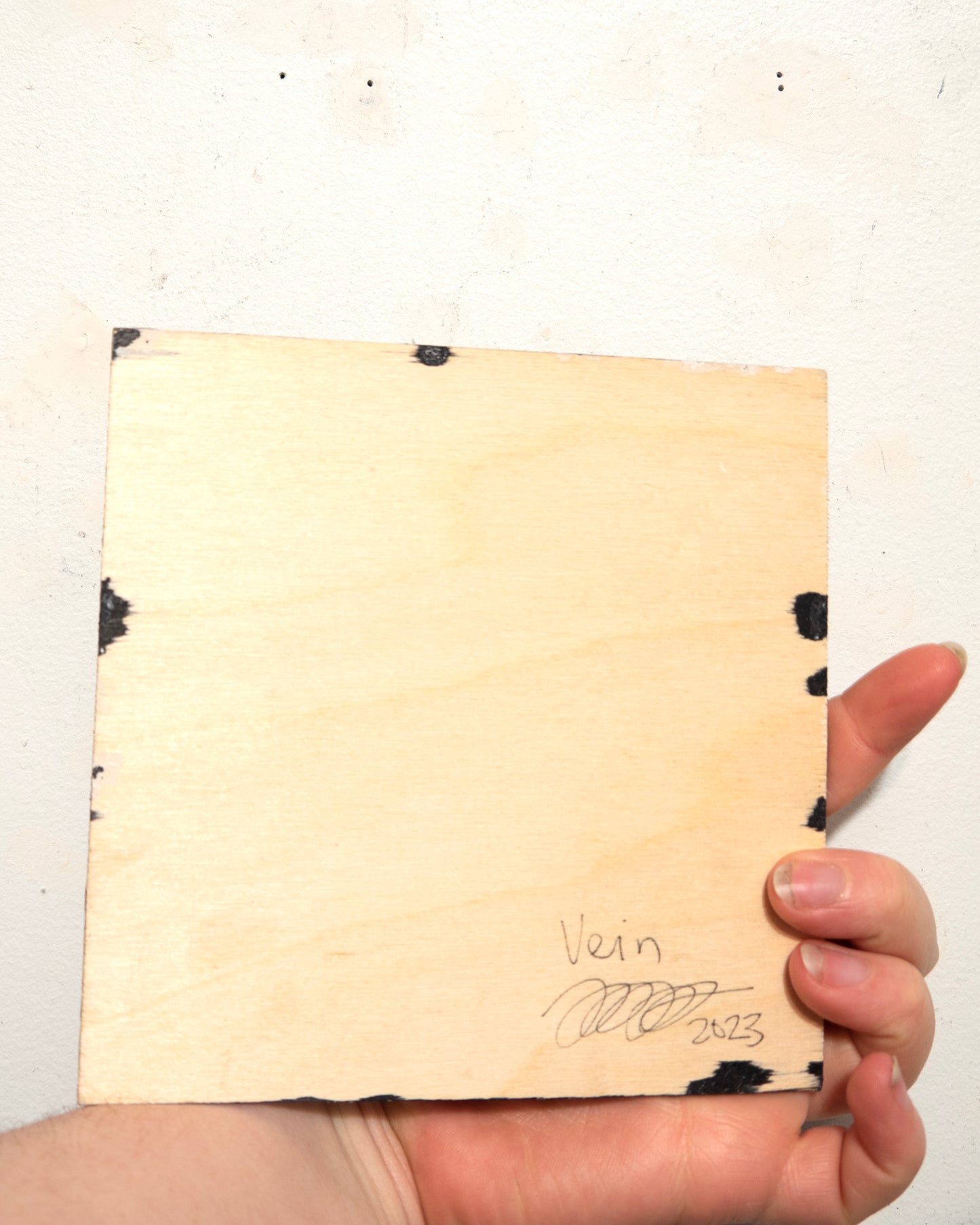 Vein